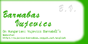 barnabas vujevics business card